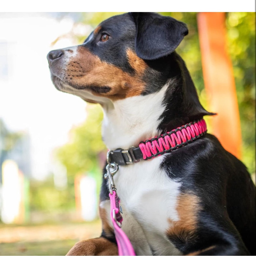 Hermsprenger pink paracord dog collar with lock - Picture 2 of 8